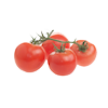 עגבניות אשכולות