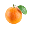 תפוז טבורי